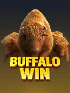 Buffalo Win cover artwork